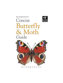 Concise Butterfly and Moth Guide - 9781472963772