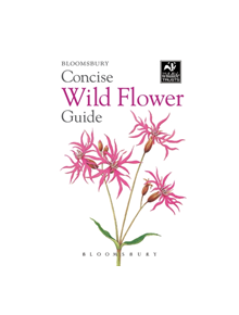 Concise Wild Flower Guide - 9781472963802