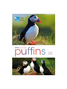 RSPB Spotlight: Puffins - 9781472965202