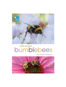 RSPB Spotlight Bumblebees - 9781472966650