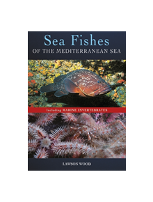 Sea Fishes Of The Mediterranean Including Marine Invertebrates - 9781472967169