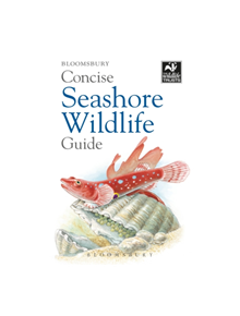 Concise Seashore Wildlife Guide - 9781472968296