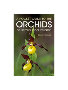 Pocket Guide to the Orchids of Britain and Ireland - 9781472969095