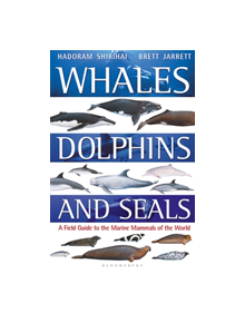 Whales, Dolphins and Seals - 9781472969668