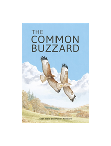 The Common Buzzard - 9781472972088