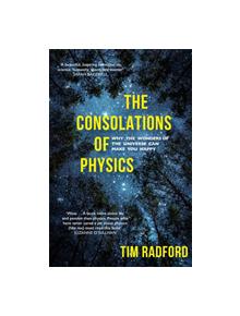 The Consolations of Physics - 9781473658912