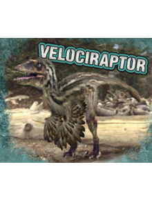 Velociraptor - 9781474752268