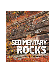 Sedimentary Rocks - 9781474760270