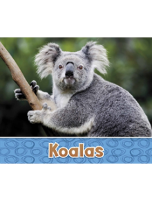 Koalas - 9781474760447