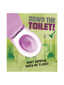 Down the Toilet! - 9781474764308