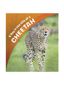 A Day in the Life of a Cheetah - 9781474764995