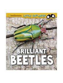 Brilliant Beetles - 9781474770583