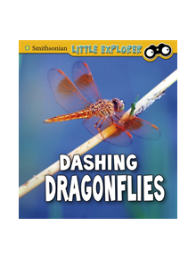 Dashing Dragonflies - 9781474770606