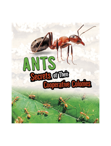 Ants - 9781474770934