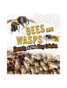 Bees and Wasps - 9781474770989