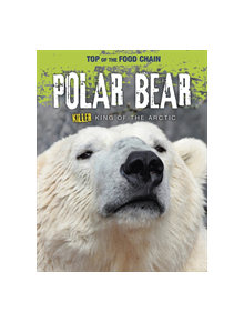 Polar Bear - 9781474778015