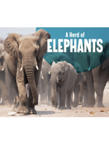 A Herd of Elephants - 9781474785266