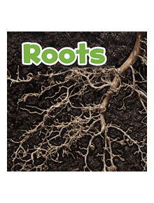 Roots - 9781474786041