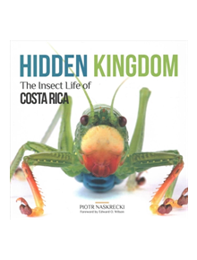 Hidden Kingdom - 9781501704710