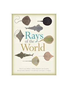 Rays of the World - 9781501705328