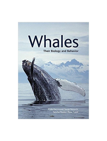 Whales - 9781501716560