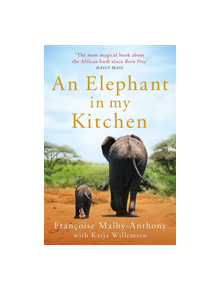 An Elephant in My Kitchen - 9781509864928