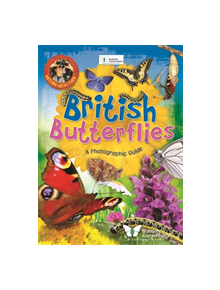 Nature Detective: British Butterflies - 9781526301581