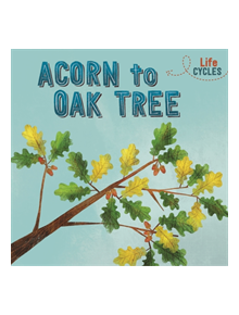 Life Cycles: Acorn to Oak Tree - 9781526310279