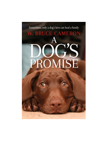 A Dog's Promise - 9781529010084