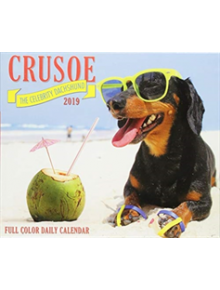 Crusoe the Celebrity Dachshund 2019 Box Calendar (Dog Breed Calendar) - 9781549203190