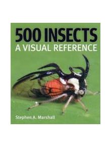 500 Insects - 9781554073450