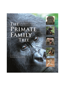 The Primate Family Tree - 9781554079643