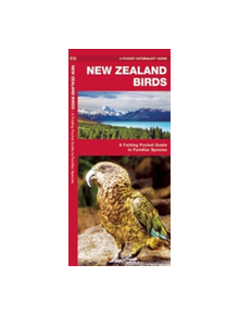 New Zealand Birds - 9781583558898