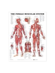 The Female Muscular System Anatomical Chart - 9781587795633