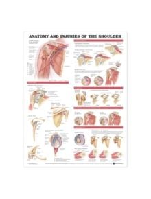 Anatomy and Injuries of the Shoulder Anatomical Chart - 9781587798078