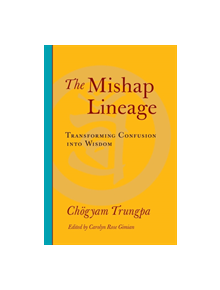 The Mishap Lineage - 9781590307137