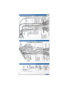 Neurology Pocketcard Set - 9781591030454