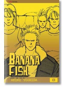 Banana Fish, Vol. 8