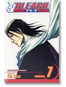 Bleach, Vol. 7