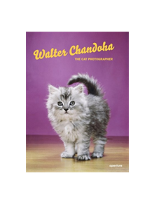 Walter Chandoha: The Cat Photographer - 9781597114530