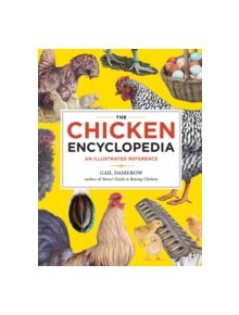 Chicken Encyclopedia - 9781603425612