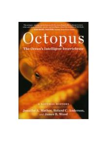 Octopus - 9781604690675