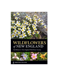 Wildflowers of New England - 9781604694642