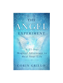 The Angel Experiment - 9781608686254