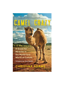 Camel Crazy - 9781608686483