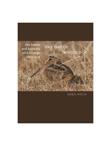 Sky Dance of the Woodcock - 9781609386276