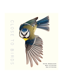 Close to Birds - 9781611807103