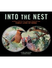 Into the Nest - 9781612122298