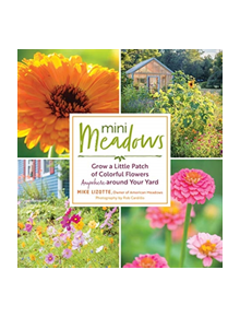 Mini Meadows: Grow a Little Patch of Colorful Flowers Anywhere around Your Yard - 9781612128351