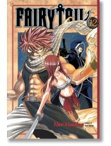 Fairy Tail 12